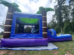 tropslide202 1750191118 TROPICAL WATER SINGLE SLIDE COMBO (WET)